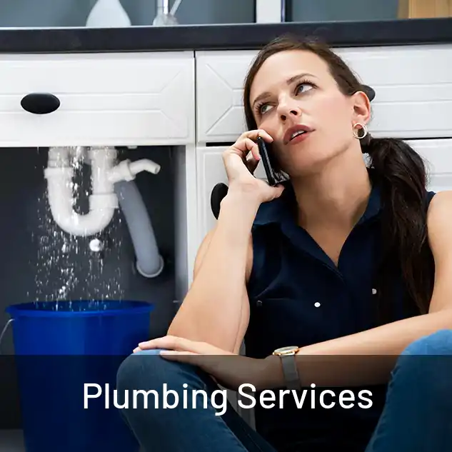  Plumbing Services 